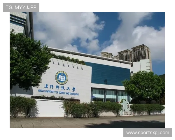 澳门新京网址登录线路详细介绍，帮助用户快速找到最优登录路径和解决方案