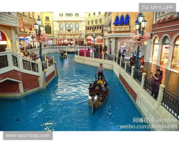 澳门娱乐城国际首页支持多种支付方式确保玩家资金安全与便捷存取体验